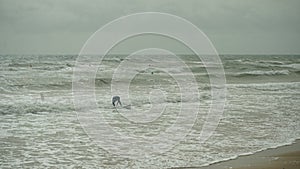 Sobre el nublado alce de viento él es un sobre el hoja 