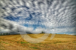 Cloudy day over field