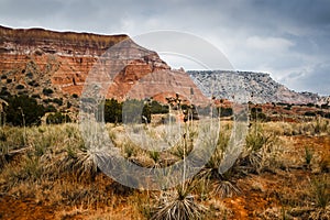 Cloudy Day at Palo Duro Canyon State Park, Texas