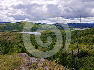 Cloudy day in Quebec's taÃ¯ga in Charlevoix, Quebec national park, Parc National des Grands Jardins