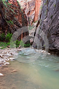 Cloudy day shot of the Narrows, Zion National Park, Utah, USA.