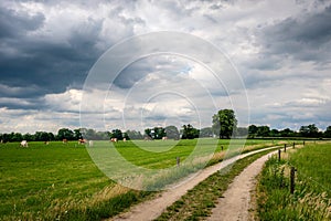Cloudy Dutch Summer landscape in June near Delden Twente, Overijssel