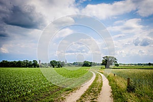 Cloudy Dutch Summer landscape in June near Delden Twente, Overijssel