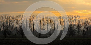 Cloudy evenig sky with dark clouds and orange glow over bare trees in the Flemish countryside