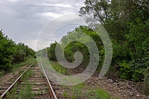 Cloudy evening old railroad track among trees and sky photo