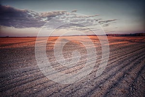 Cloudy evening sky over an empty agricultural field. Bright sunset landscape