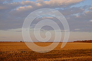 Cloudy evening sky over an empty agricultural field. Bright sunset landscape