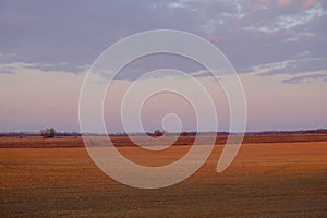 Cloudy evening sky over an empty agricultural field. Bright sunset landscape