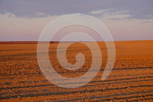 Cloudy evening sky over an empty agricultural field. Bright sunset landscape