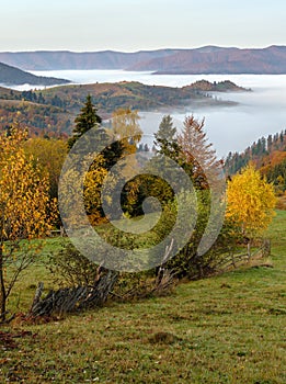 Cloudy and foggy autumn mountain early morning pre sunrise scene. Ukraine, Carpathian Mountains, Transcarpathia