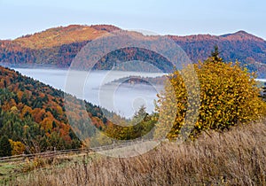 Cloudy and foggy autumn mountain early morning pre sunrise scene. Ukraine, Carpathian Mountains, Transcarpathia