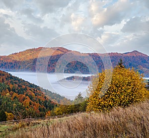 Cloudy and foggy autumn mountain early morning pre sunrise scene. Ukraine, Carpathian Mountains, Transcarpathia