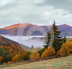 Cloudy and foggy autumn mountain early morning pre sunrise scene. Ukraine, Carpathian Mountains, Transcarpathia