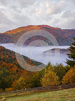 Cloudy and foggy autumn mountain early morning pre sunrise scene. Ukraine, Carpathian Mountains, Transcarpathia