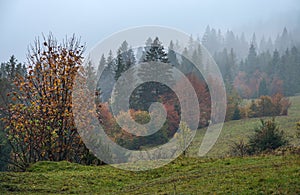 Cloudy and foggy autumn mountains scene. Peaceful picturesque traveling, seasonal, nature and countryside beauty concept scene.