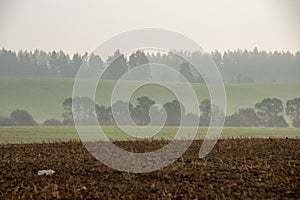 Zamračený a hmlový východ slnka nad slovenskou krajinou na jeseň