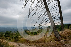 Zamračený a hmlový východ slnka nad slovenskou krajinou na jeseň