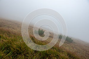 Zamračený a hmlový východ slnka nad slovenskou krajinou na jeseň