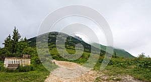 Cloudy forest on the mountains during summer. Slovakia