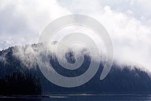 Cloudy Forest Peril Strait   842876