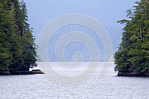 Cloudy Forest Peril Strait   845450