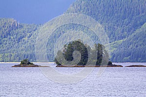 Cloudy Forest Peril Strait   845453