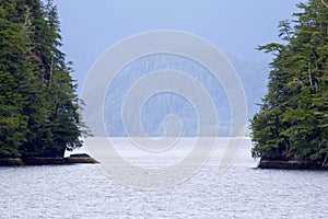 Cloudy Forest Peril Strait   845450 photo