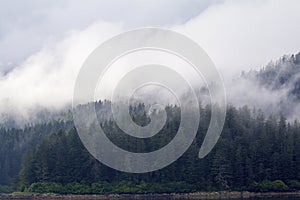 Cloudy Forest Peril Strait   846609 photo