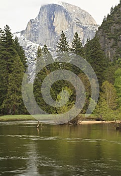 Cloudy Halfdome and Merced River photo