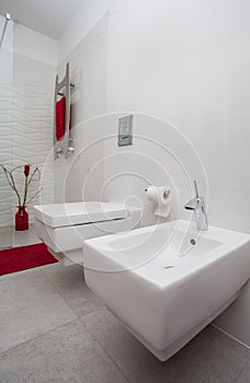 Cloudy home - toilet, bidet