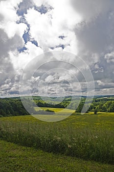 Cloudy meadows