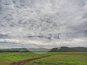 Cloudy morning landscape in the jungle of Peru photo
