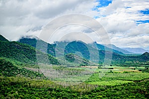 Cloudy Mountain and Green Valley, Thekkady