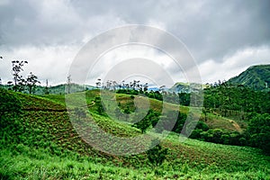 Cloudy Mountain and Green Valley, Thekkady