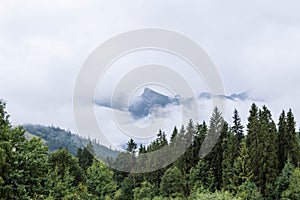 Cloudy mountain landscape behind forest