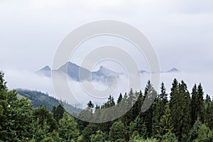 Cloudy mountain peeks behind a forest