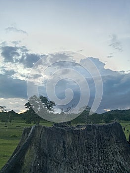 cloudy not necessarily rainy