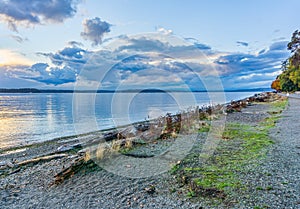 Cloudy Park Shoreline