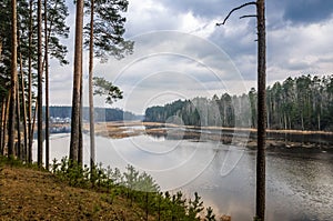 Cloudy and rainy day in the forest on the banks of the river Pyshma, Russia, Ural