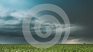 Cloudy Rainy Sky. Dramatic Sky With Dark Clouds In Rain Day. Storm And Clouds Above Summer Maize Corn Field. Time Lapse