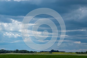 Cloudy skies above canola fields, Saskatchewan, Canada.