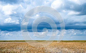 Cloudy skies above the open Florida Everglades grasslands