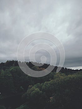 Gray sky over the forest.Nature