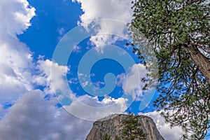 Cloudy skies with a tree and mountain