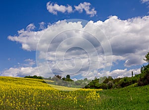 Cloudy sky