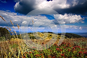 Cloudy sky