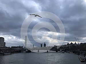 Cloudy Sky with bird flying over London City River Thames with Landmarks in the background