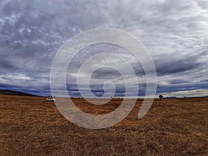 Cloudy sky in a field