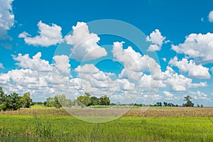 Cloudy sky with field