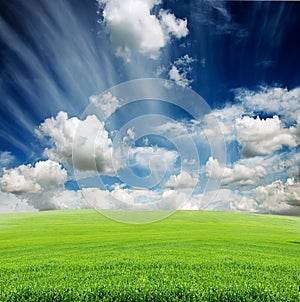 Cloudy sky with green grass meadow